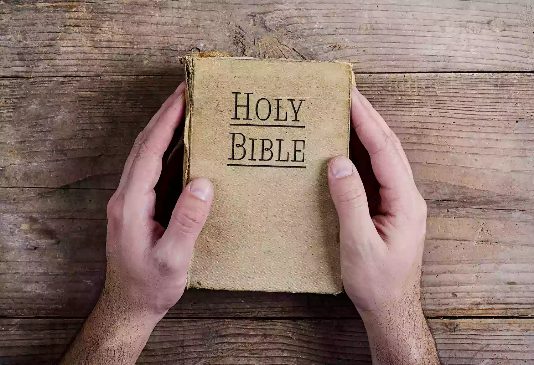 What Is The Purpose Of The Bible: Is there more than one?